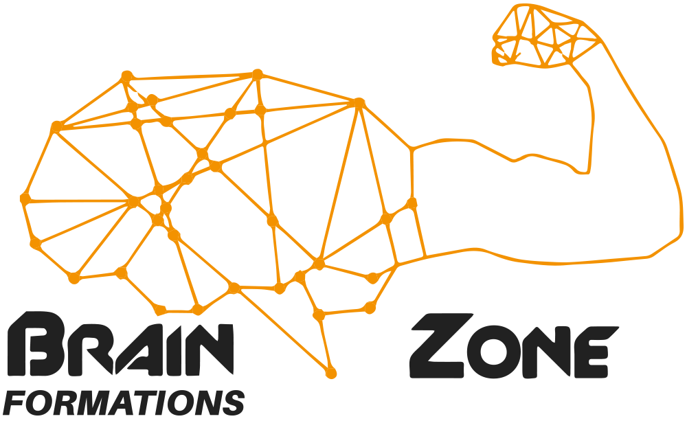 brain zone formation coaching